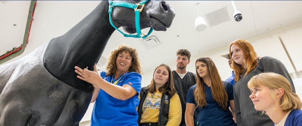 Veterinarian working with veterinary medicine students in class.